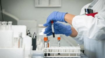 Hantavirus, la ballata del rischio basso e della quarantena alta